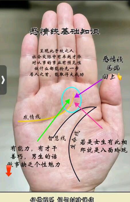 風(fēng)水先生解讀掌中情緣:感情線的分叉密碼