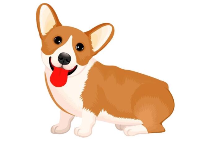 屬狗2022年運(yùn)勢(shì)及運(yùn)程如何