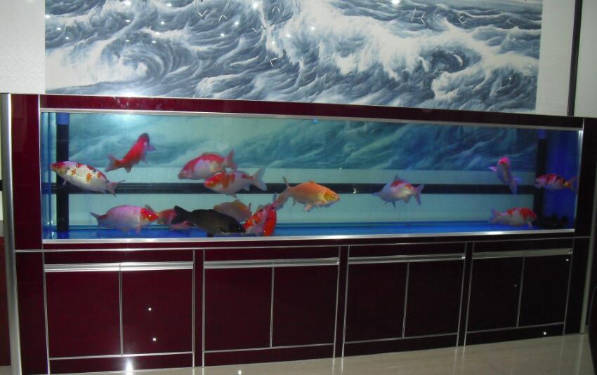 永康風水先生老徐辦公室養(yǎng)魚養(yǎng)幾條魚最好?