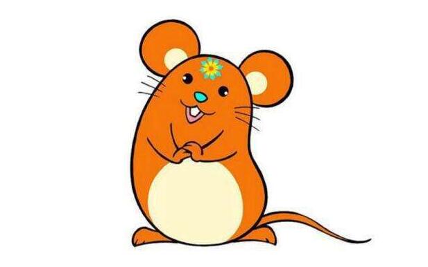 屬鼠2022年運勢及運程如何