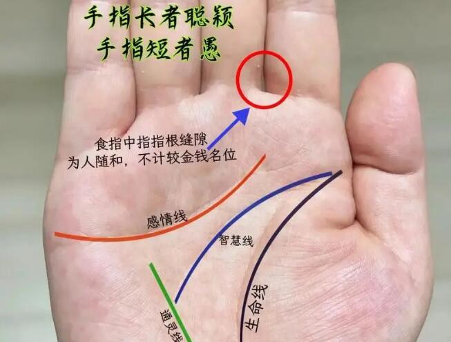 永康風(fēng)水大師教你怎么看手相財運(yùn)